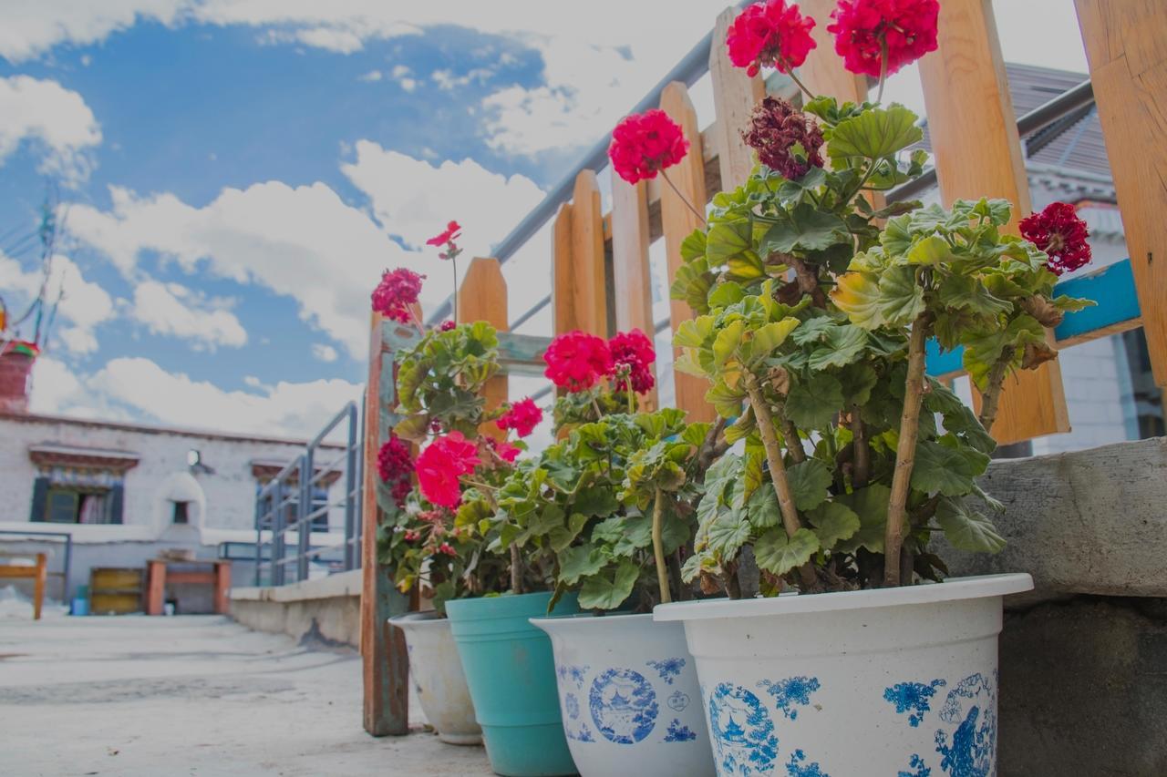 Fengma Feiyang Hostel ラサ エクステリア 写真