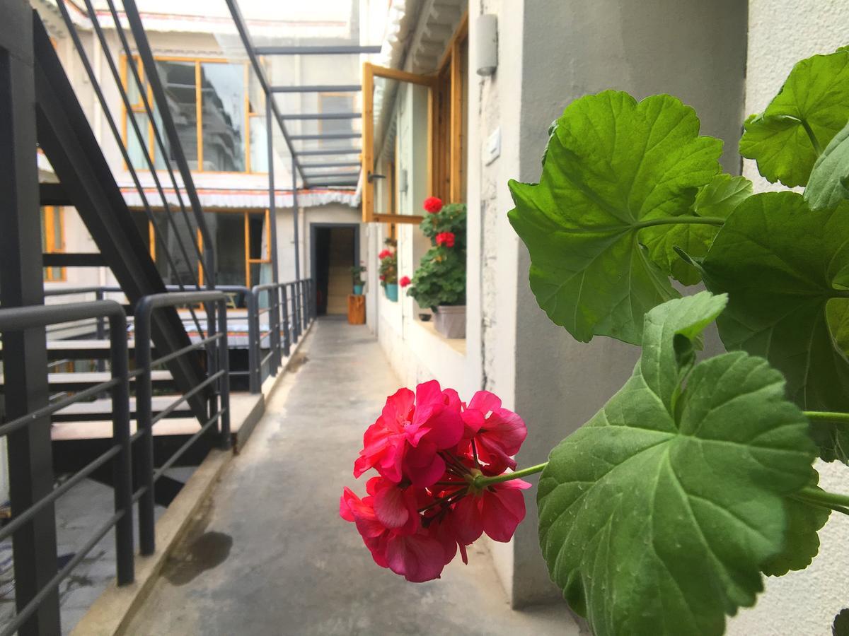 Fengma Feiyang Hostel ラサ エクステリア 写真
